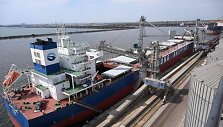 BNS nuotr.