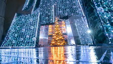 Vilnius' Christmas tree 2020