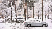 Gausus sniegas laužo medžių &scaron;akas