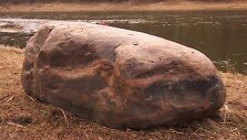 Neries kairiajame krante ties Pugainių kaimu (Elektrėnų saviv.), apie 1,3-1,5 km žemiau Bražuolės žiočių, buvo aptiktas didžiulis &ndash; 2,3 m ilgio ir 0,9 m auk&scaron;čio &ndash; riedulys. 