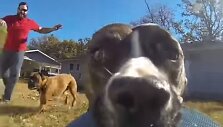 &bdquo;Go Pro&ldquo; kamerą nugvelbęs &scaron;uo nufilmavo savo paties gaudynes