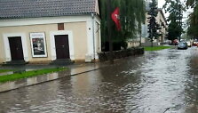Patvinęs Nevėžis