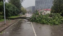 Vilniaus Lvivo gatvė
