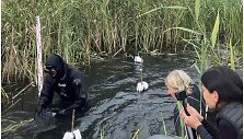 Ilgus metus tiksli Nemuno vieta, kur yra banginiukas, nežinota (1)