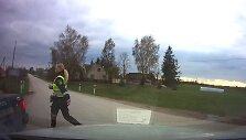 Gaudynių akimirka