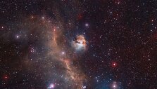 2,2 metro skersmens teleskopu &bdquo;Wide Field Imager" daryta žvaigždžių lop&scaron;eliu vadinamo Žuvėdros ūko galva &ndash; Sh 2-292 