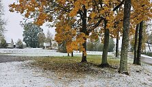 Penktadienio, spalio 20-osios, sniegas Lazdijų rajone