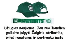 Vilniaus &bdquo;Žalgirio&ldquo; atributika
