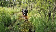 Vokiečių aviganis Grau Latvijoje sugavo dar 6 i&scaron; Baltarusijos įsibrovusius migrantus