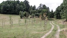 Lietuvos 100-mečio parkas Alytuje