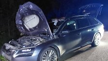 Briedį teko traukti i&scaron; &bdquo;&Scaron;kodos&ldquo; salono