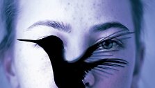 K.Hiekkapelto detektyvas &bdquo;Kolibris&ldquo;
