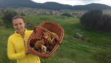 Karoli&scaron;koji musmirė puikuojasi Virginijos pririnktų grybų krep&scaron;io viduryje