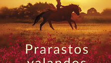 Karen White &bdquo;Prarastos valandos&ldquo;