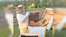 &Scaron;e&scaron;iolikmetis Jokūbas yra jau tikras bitininkas savo patirtimi ir žiniomis nenusileidžiantis ir vyresniesiems &scaron;io amato puoselėtojams