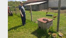 Josvainių seniūnijos &Scaron;aravų kaimo gyventojų Valdo ir Jurgitos Vaidotų &scaron;unelis buvo priri&scaron;tas prie būdos ir sergėjo aptvare laikomas vi&scaron;tas