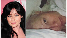 Shannen Doherty