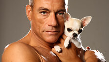 Jeano-Claude'o Van Damme'o fotosesijos su čihuahua kadrai (2011 m.) 