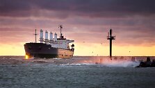 Uosto vartai  