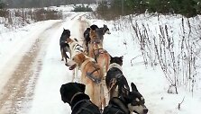 &Scaron;unys buvo ruo&scaron;iami žiemai, tačiau kol kas turi tempti ne roges, bet triračius.