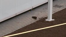 Prie prekybos centro &bdquo;Mega&ldquo; aptiktas sprogmuo