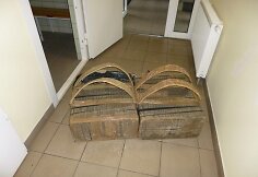 Sulaikyta kontrabanda