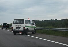 Automobilio parblokštas gyvūnas (archyvinė nuotr.)
