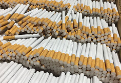 Mažeikių rajone vietoje lentpjūvės – užmaskuotas nelegalus cigarečių fabrikas