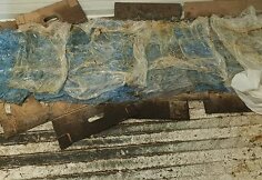 Prienuose užfiksuoti &scaron;iurk&scaron;tūs maisto saugos pažeidimai