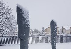 &bdquo;Aprengtos&ldquo; palmės žiemą