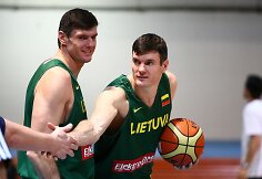 Broliai Lavrinovičiai