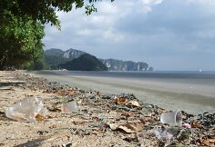 Gausybė plastiko atliekų nusėda jūrose ir vandenynuose, o galiausiai, per maisto grandinę, ir ant mūsų stalo.
