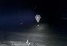 VSAT sulaikė kontrabandininkų organizuotos grupės narius