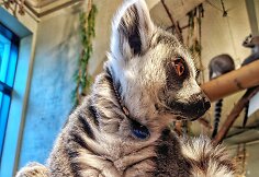 Spalis „Zoopark“ – išskirtinės pramogos ir nemokamos ekskursijos
