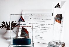 G.Liudvinavičiūtės kūrybos įvertinimai