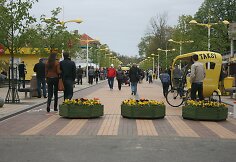 Palangos J.Basanavičiaus gatvė
