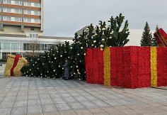 Nuvirto Marijampolės Kalėdų eglė
