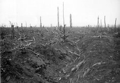Vokiečių apkasai Prancūzijoje, Delville Wood, 1916 m.