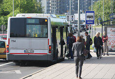 Vie&scaron;asis transportas 