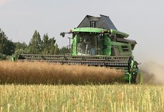 Joni&scaron;kio rajone javų laukais rieda kombainai