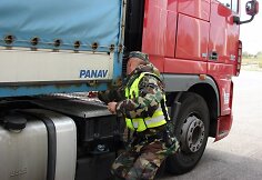 Prieš nelegalią migraciją nukreipta operacija „Dūžis“