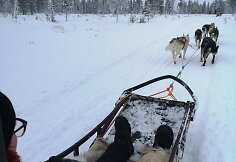Justina Vaitiekūnaitė Laplandijoje