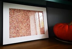 Sunaikinta valiuta &ndash; litai &ndash; tapo paveikslais. Juos kuria Jonu Litu prisistatantis vilnietis.