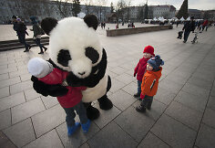 Panda dalina apkabinimus