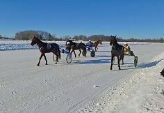 Sartų žirgų lenktynių akimirka