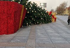 Nuvirto Marijampolės Kalėdų eglė