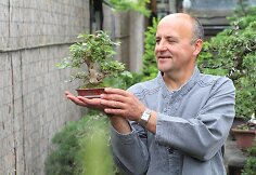 K.Ptakausko bonsai menas