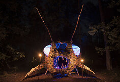 Festivalis &bdquo;Yaga Gathering&ldquo;