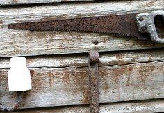 "Saulėtųjų naktų" sodyba