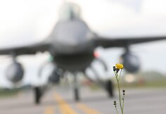 NATO bazėje nusileido šeši Portugalijos naikintuvai F-16